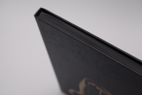 THE BOOK BY <br> ANNEE' OLOFSSON