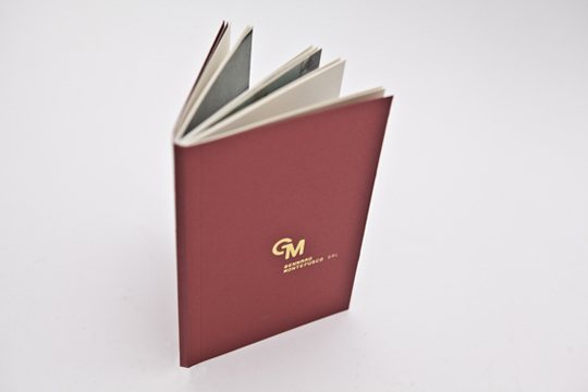 GM CHAMOIS