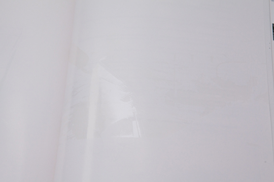 THE BOOK BY <br> PIERO GOLIA
